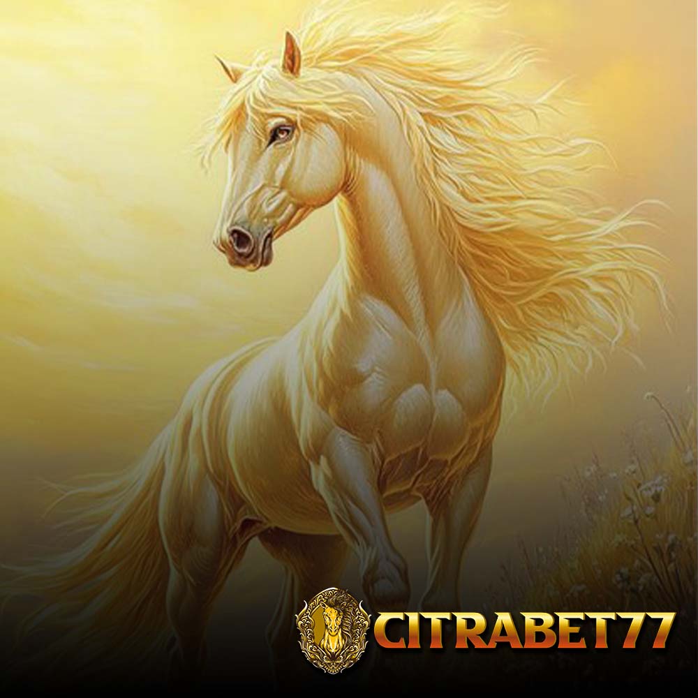 Citrabet77